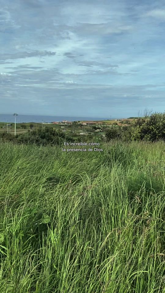 TikTok video thumbnail by monicaileen