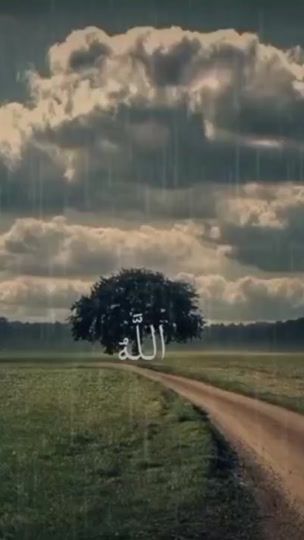 TikTok video thumbnail by elomda_qr