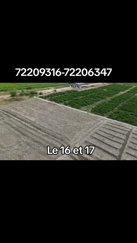 TikTok video thumbnail by agriculteurn1