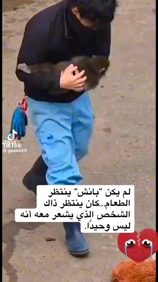 TikTok video thumbnail by 1sunset08