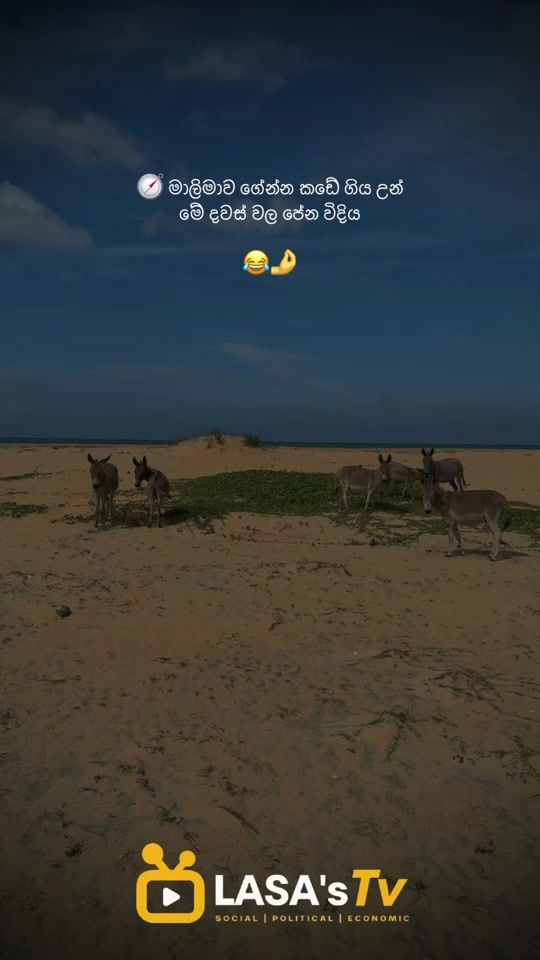 TikTok video thumbnail by lasa_99__