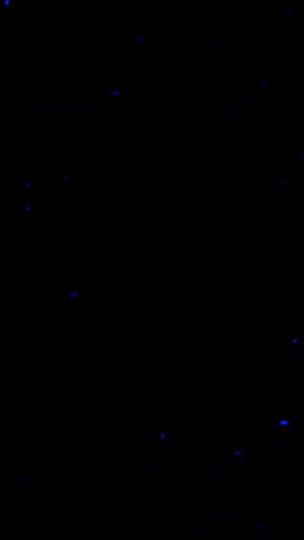 TikTok video thumbnail by dragon_stories