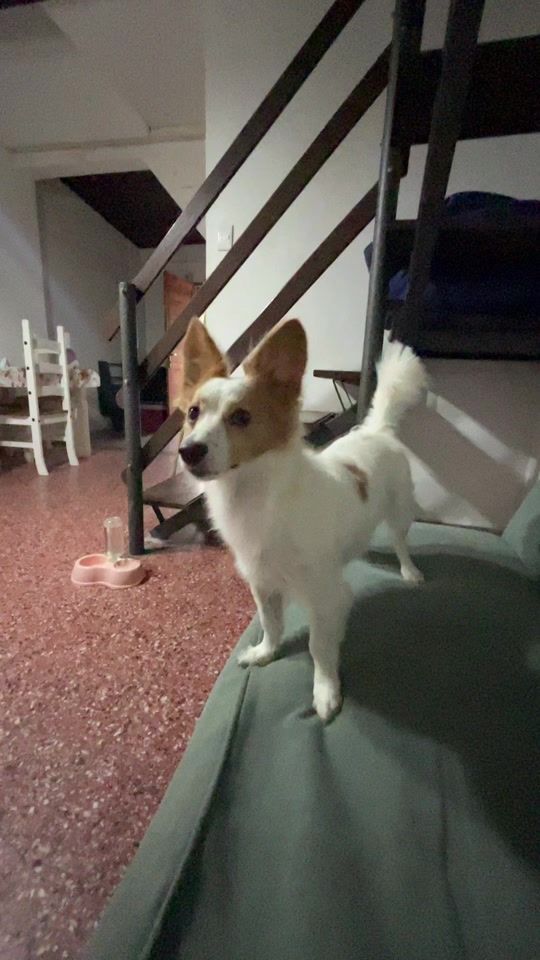 TikTok video thumbnail by flor_oliveera
