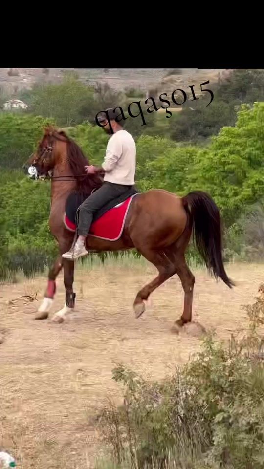 TikTok video thumbnail by qaqas015official