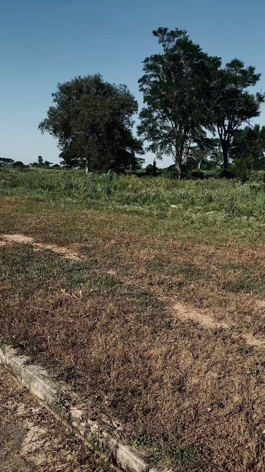 TikTok video thumbnail by yeisonmx7