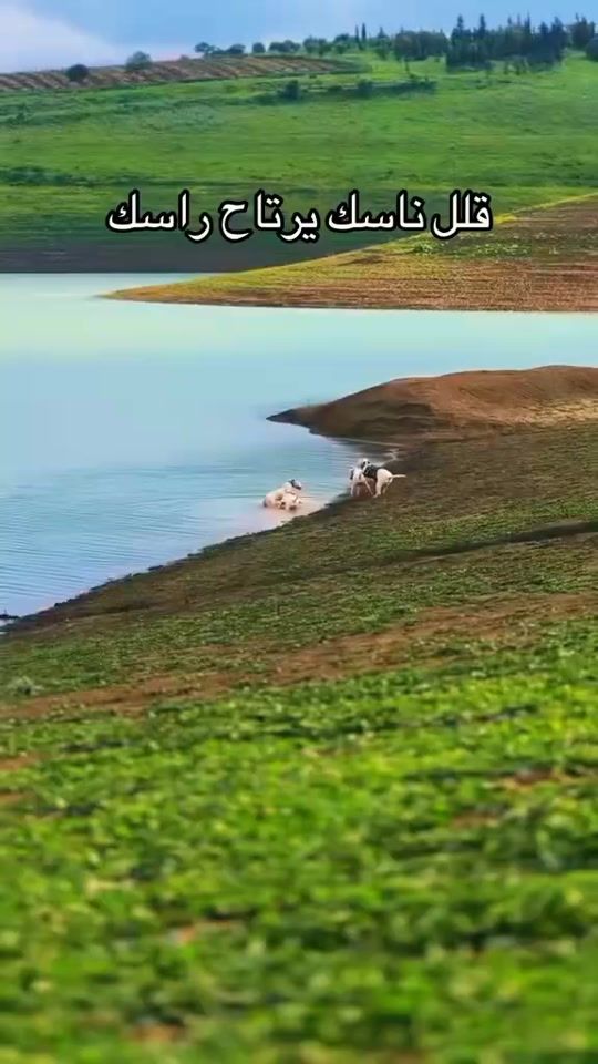 TikTok video thumbnail by alwani.al