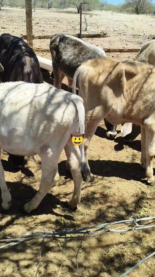TikTok video thumbnail by manuel.molina755