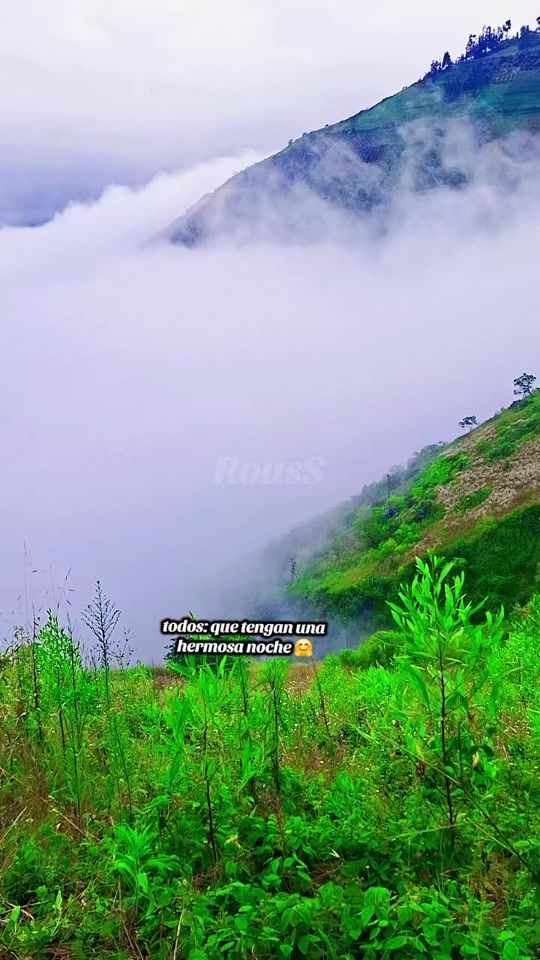 TikTok video thumbnail by _rous.s