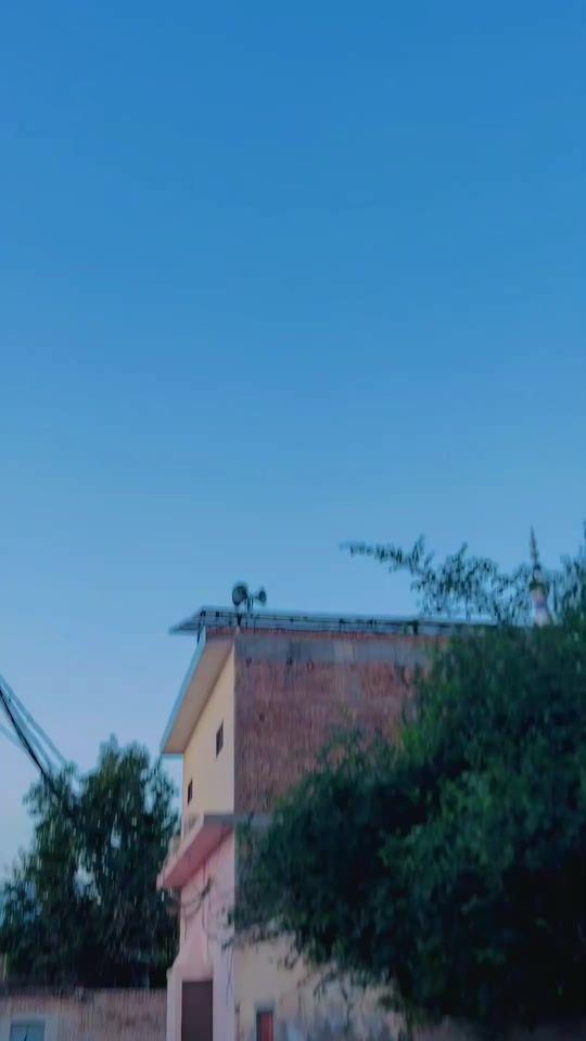TikTok video thumbnail by shani_is_live