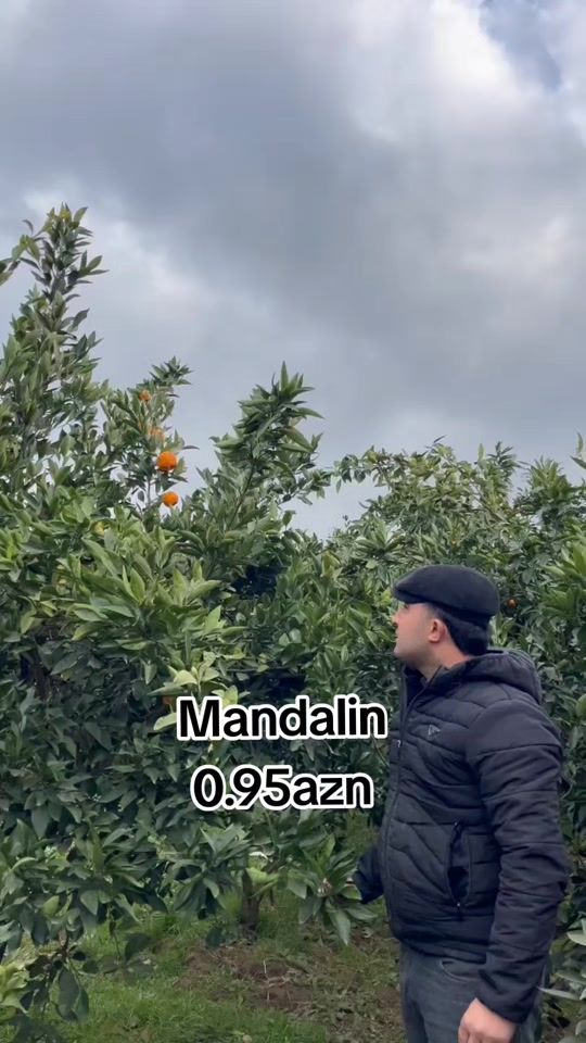 TikTok video thumbnail by sariogullari