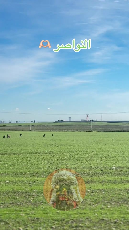 TikTok video thumbnail by harizi