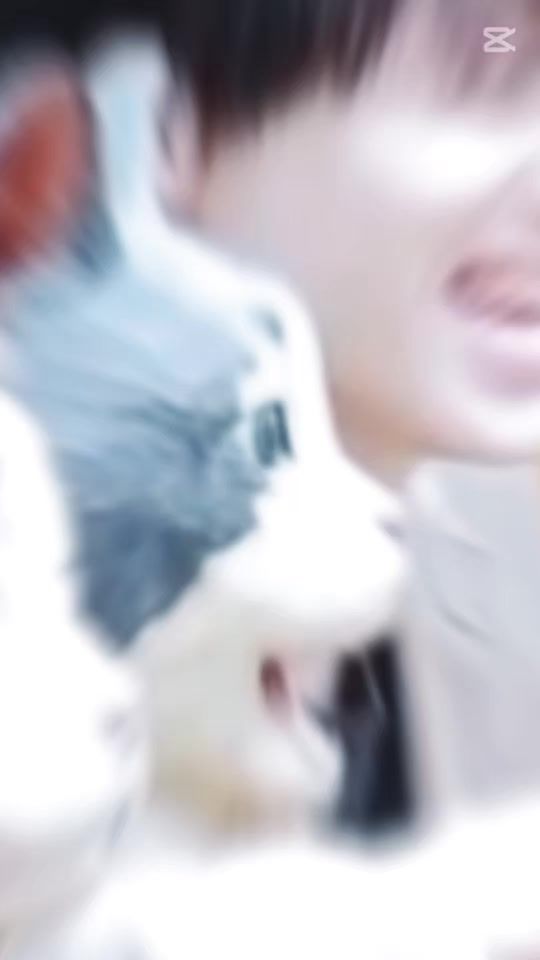 TikTok video thumbnail by ta_06_so_08