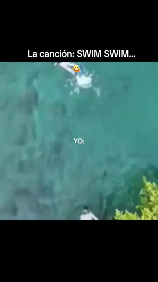 TikTok video thumbnail by fiorearmy22