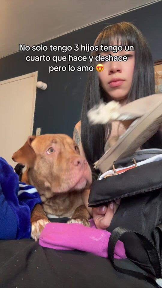 TikTok video thumbnail by tefytoro9