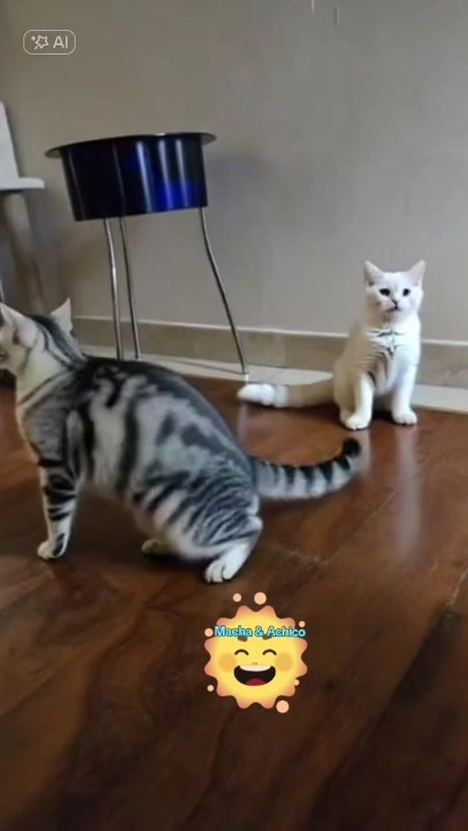 TikTok video thumbnail by niputuyanti7