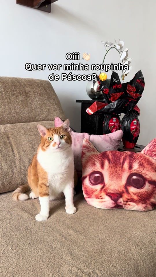 TikTok video thumbnail by pedrinhoepaulinho