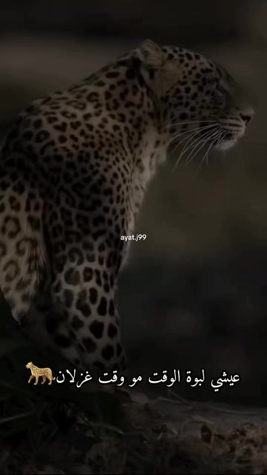 TikTok video thumbnail by ayat.j99