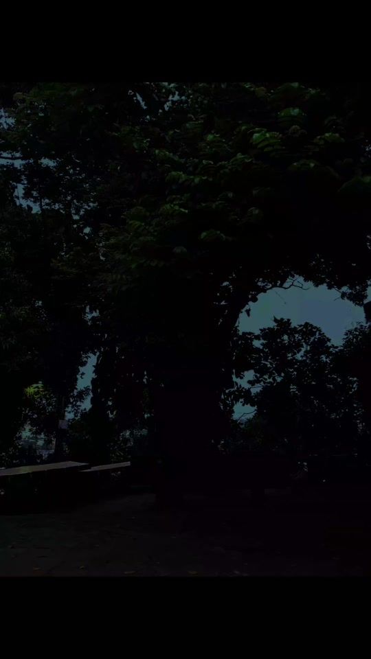 TikTok video thumbnail by vanesa_pu