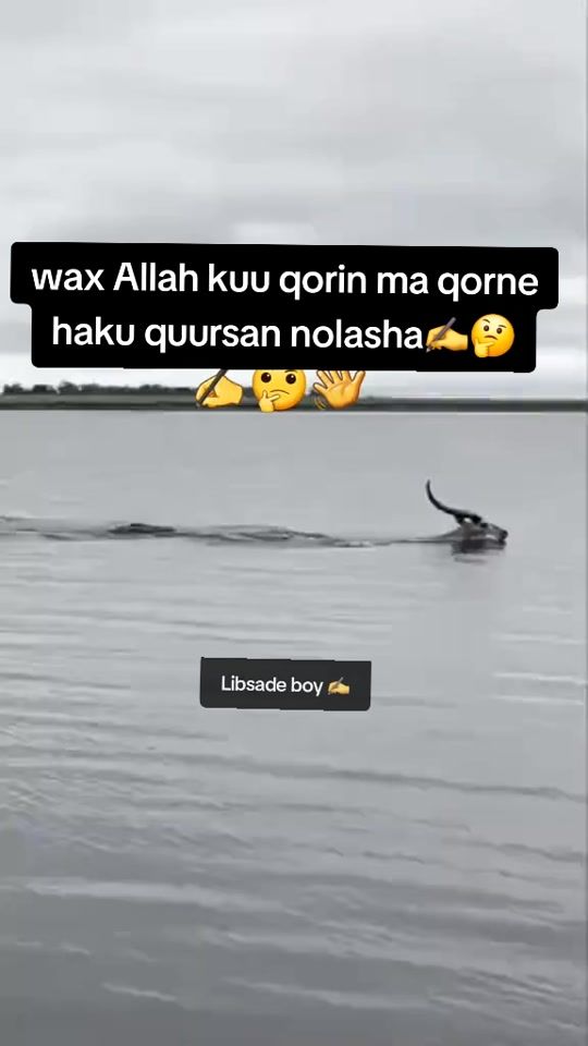 TikTok video thumbnail by libsadeofficial