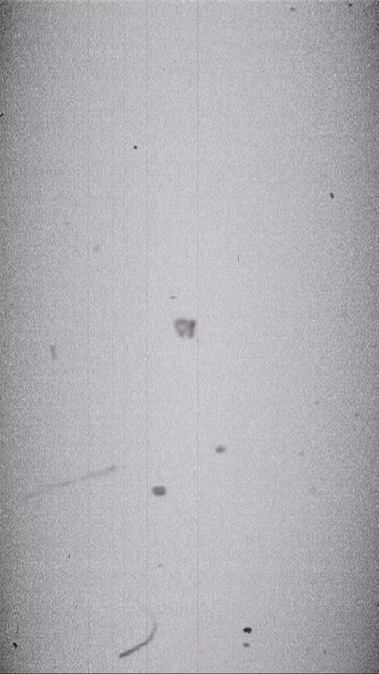 TikTok video thumbnail by aquamarine2613