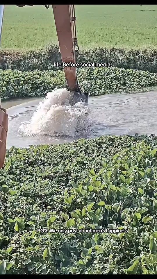 TikTok video thumbnail by joke.or.tease