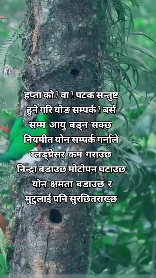 TikTok video thumbnail by aayushrawal541