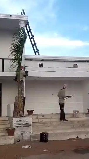 TikTok video thumbnail by user734202042002