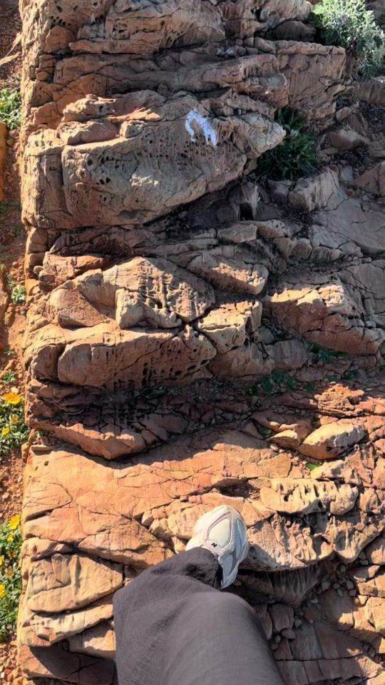 TikTok video thumbnail by nesrine.amrouche