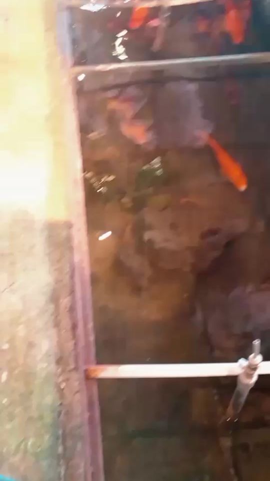 TikTok video thumbnail by mssoooon
