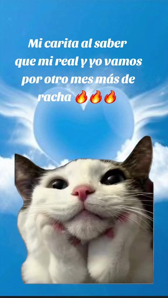 TikTok video thumbnail by hilditamor1