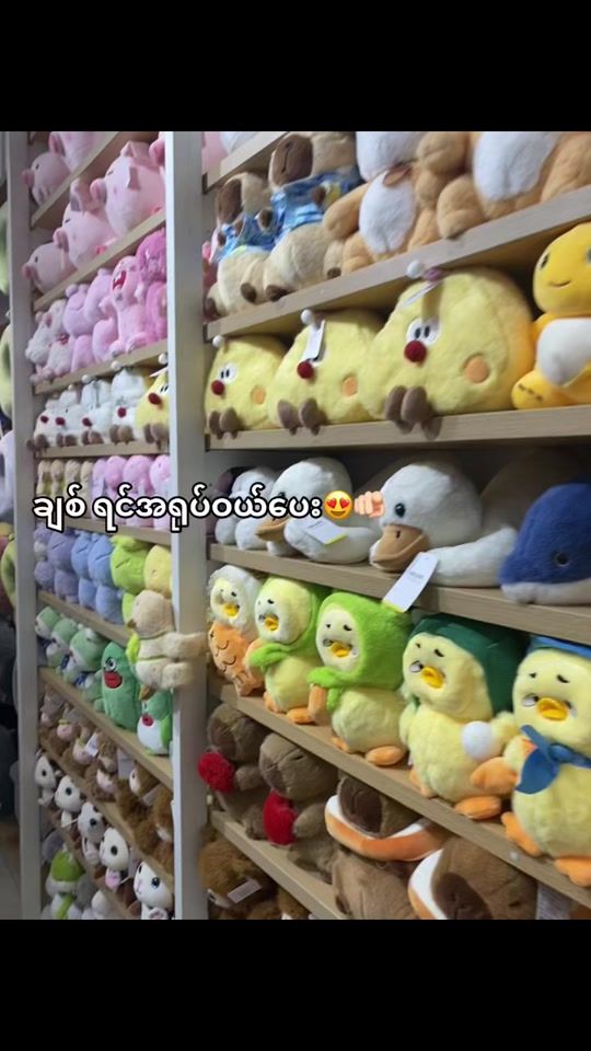TikTok video thumbnail by yvinnyl3