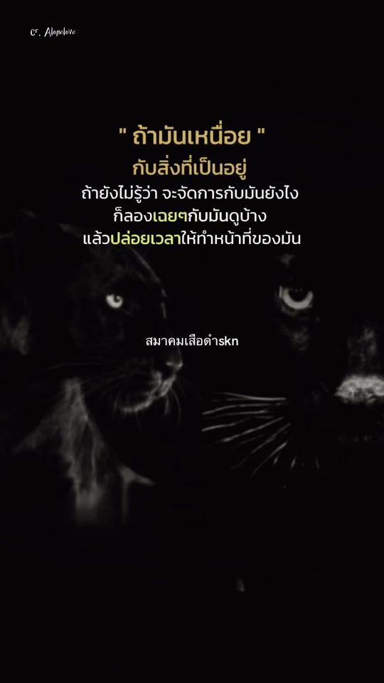 TikTok video thumbnail by sigsauer357.229999