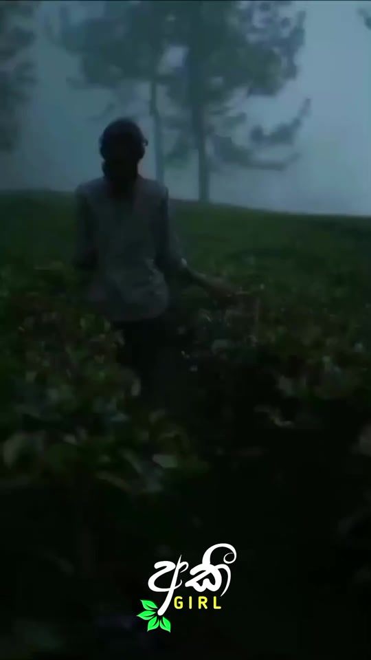 TikTok video thumbnail by aki__girl