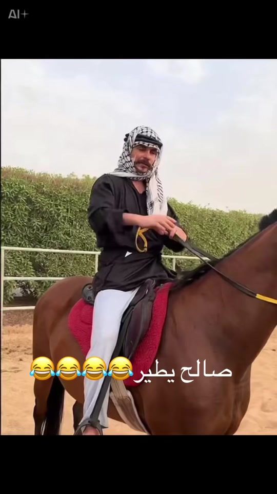 TikTok video thumbnail by dal366k