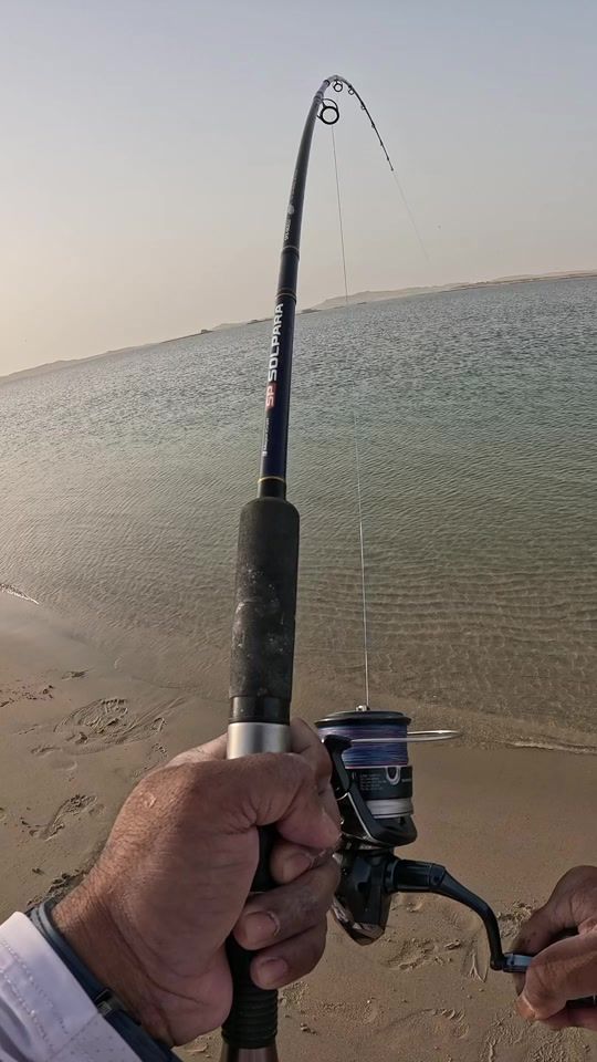 TikTok video thumbnail by fishing_rover