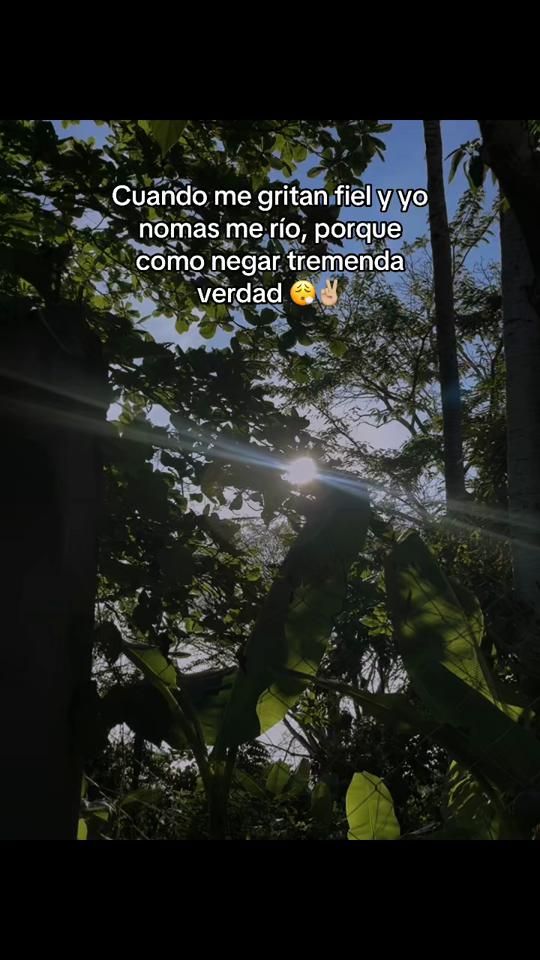 TikTok video thumbnail by l3c219