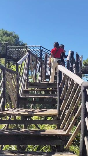 TikTok video thumbnail by green.naturekalaw