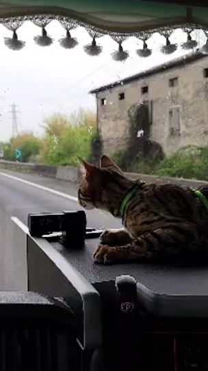 TikTok video thumbnail by leba_transport_