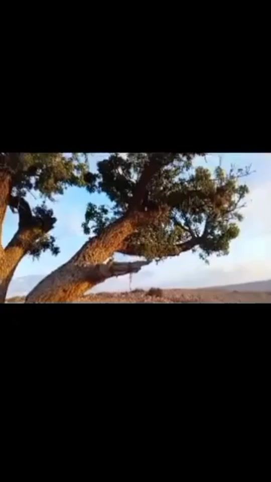 TikTok video thumbnail by user7591661606691