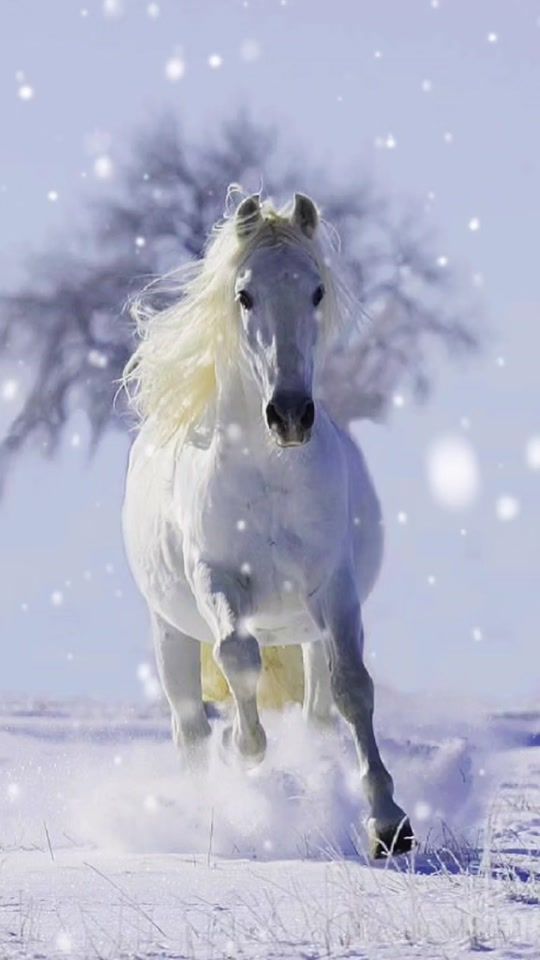TikTok video thumbnail by black_and_white..1