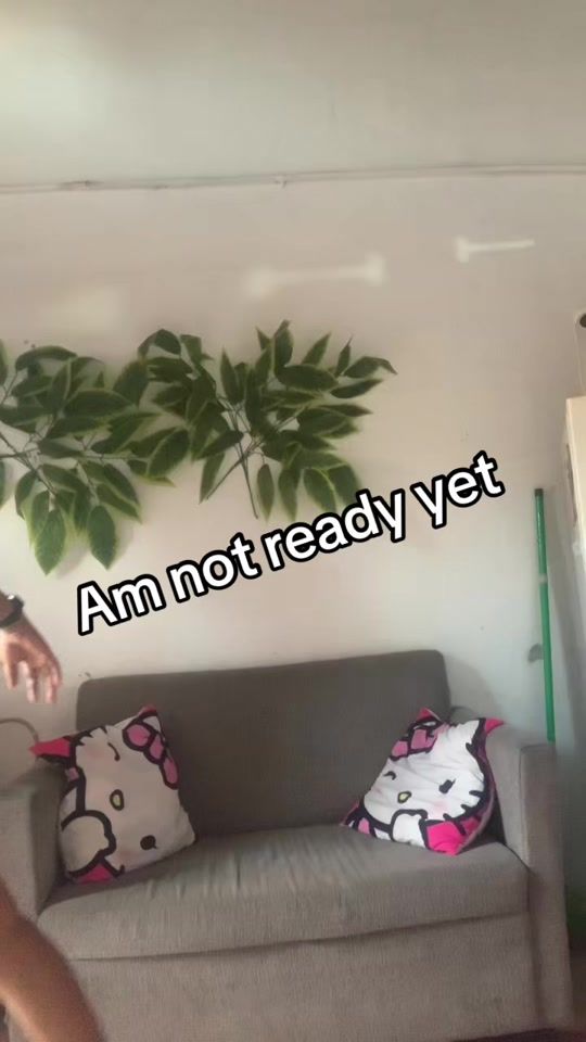 TikTok video thumbnail by swankeycrystal