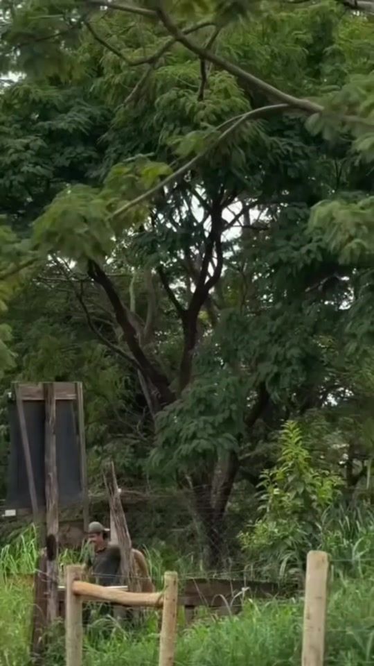 TikTok video thumbnail by kenito09