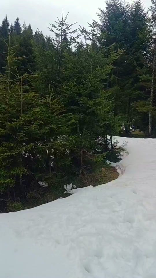 TikTok video thumbnail by ela31_61