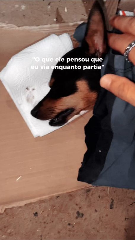 TikTok video thumbnail by bruniel_drs