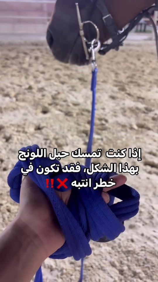 TikTok video thumbnail by bridle.ksa