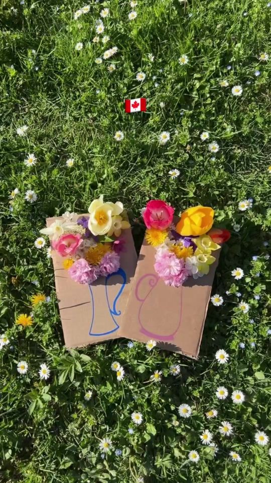 TikTok video thumbnail by shalimarhd2