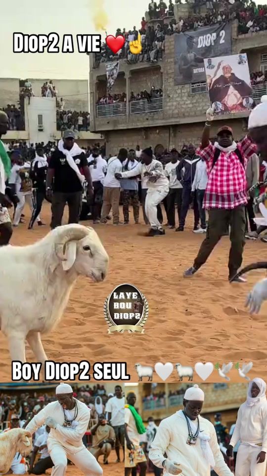 TikTok video thumbnail by laye.bou.diop2
