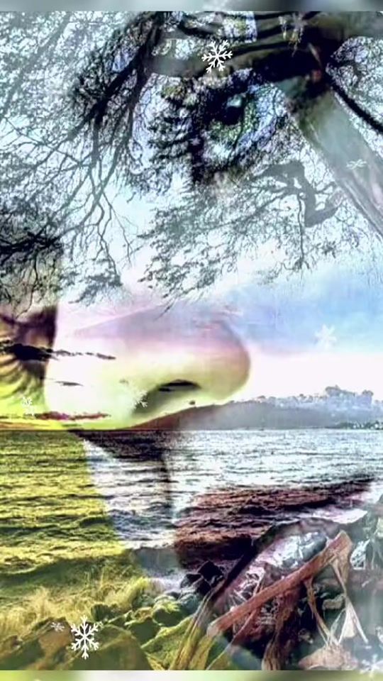 TikTok video thumbnail by ko20030kl