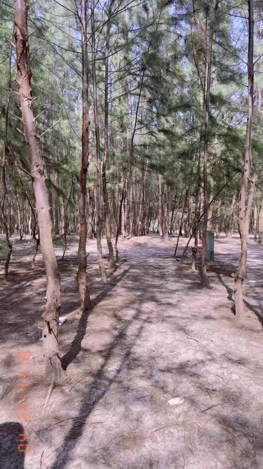 TikTok video thumbnail by srabonti467
