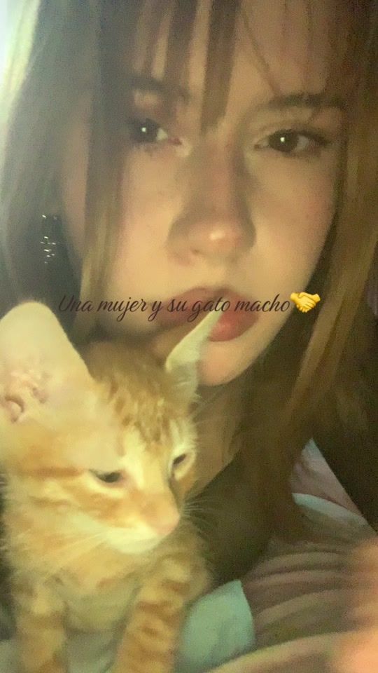 TikTok video thumbnail by prisciladelgaddo